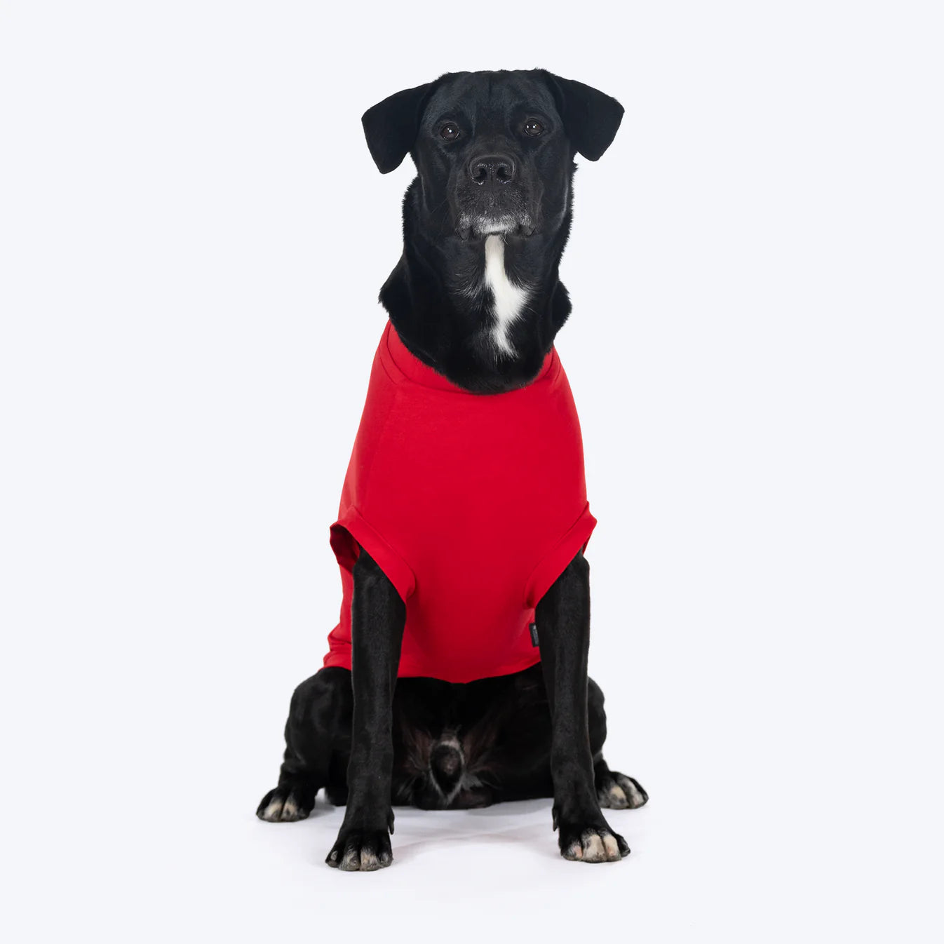 I Love My Mommy T-Shirts For Dog