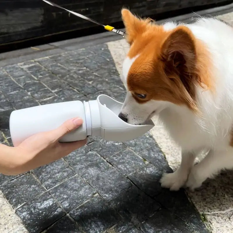 Portable Dog Water Bottle For Walking